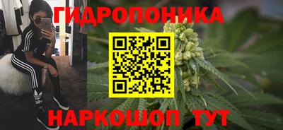 ГАЛЛЮЦИНОГЕННЫЕ ГРИБЫ Чебаркуль