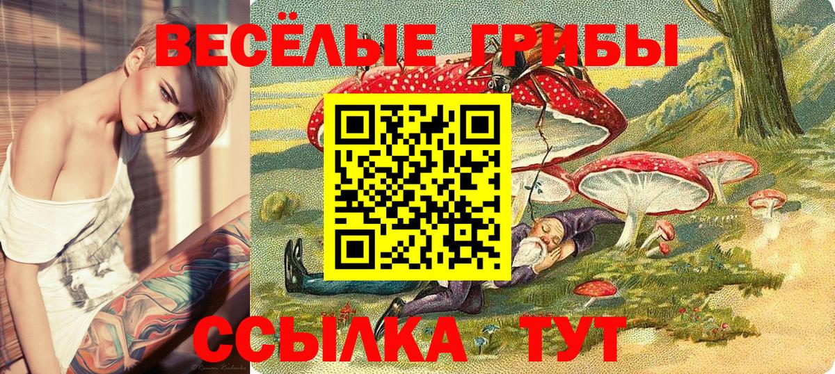 Псилоцибиновые грибы GOLDEN TEACHER Ленинск-Кузнецкий